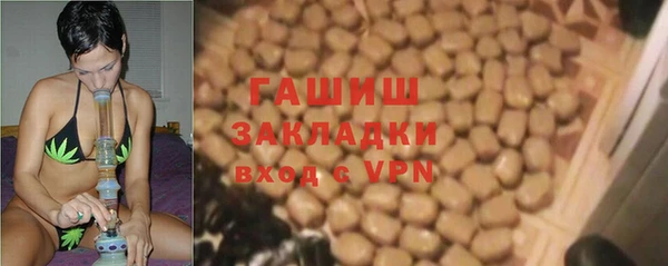 индика Майский
