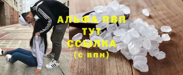 шишки Абинск